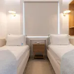 Swan Luxury *