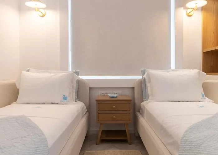 Swan Luxury *